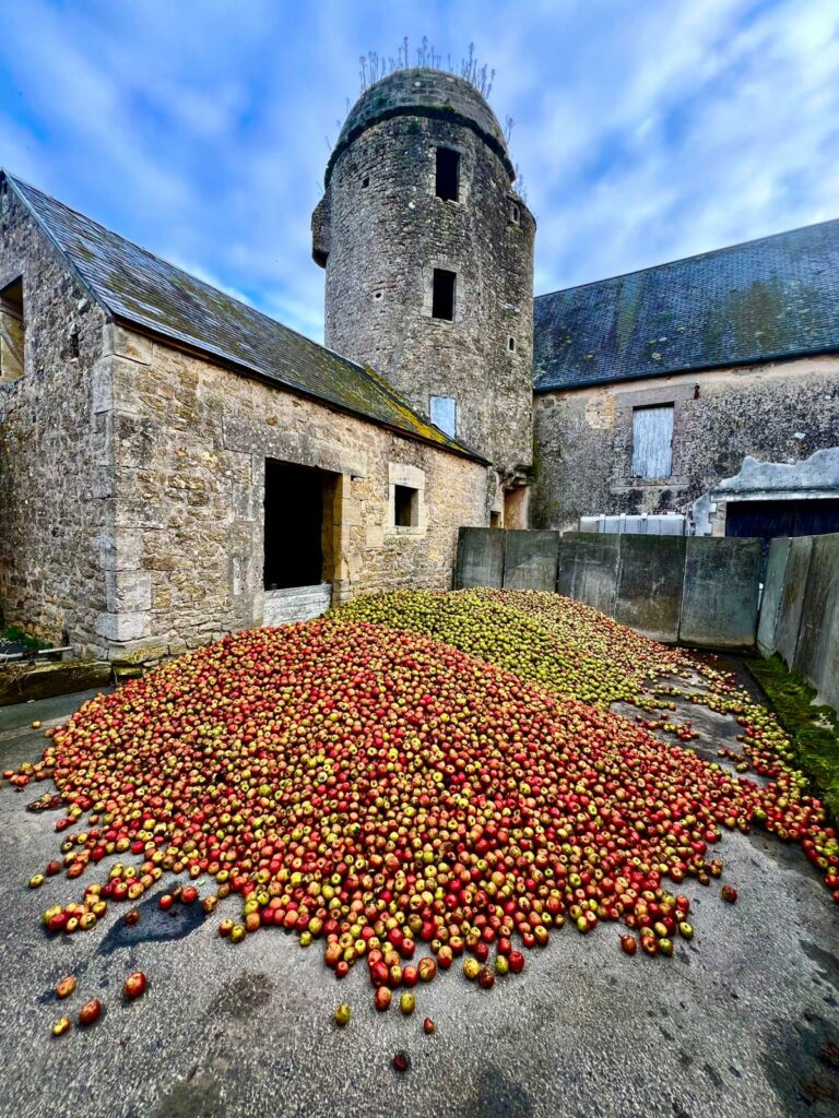 photo 2025 12 18 11 37 17 (4)